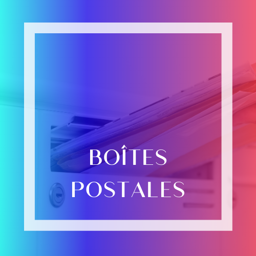 Page d'accueil Soft Consulting