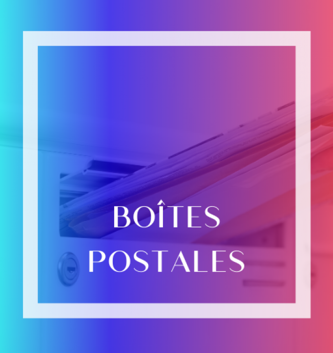 Page d'accueil Soft Consulting