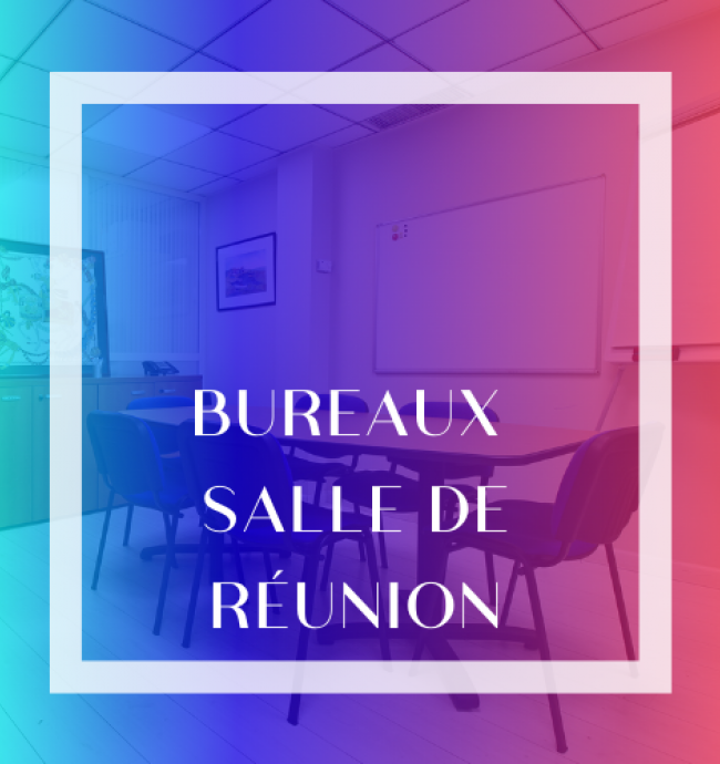 Page d'accueil Soft Consulting