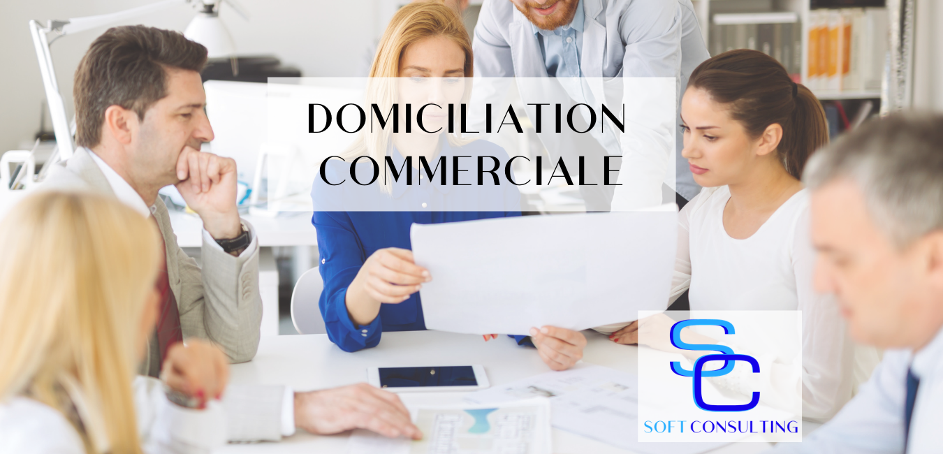 Page d'accueil Soft Consulting